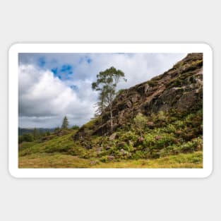 Walking over Holme Fell Sticker